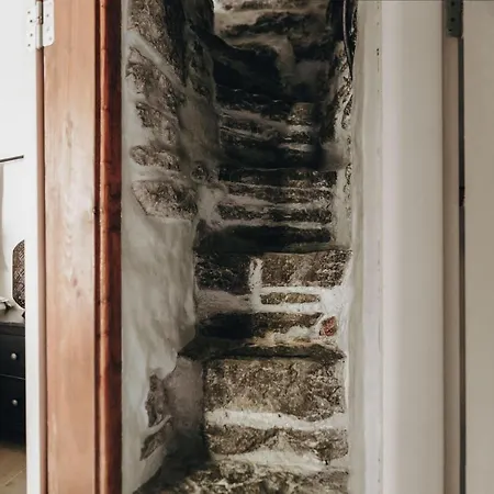 Appartamento Rataskaevu Boutique - 7 Unique *